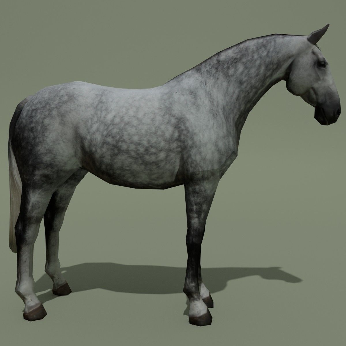 LowPoly Horse B Dapple grey Low-poly 3D model_2