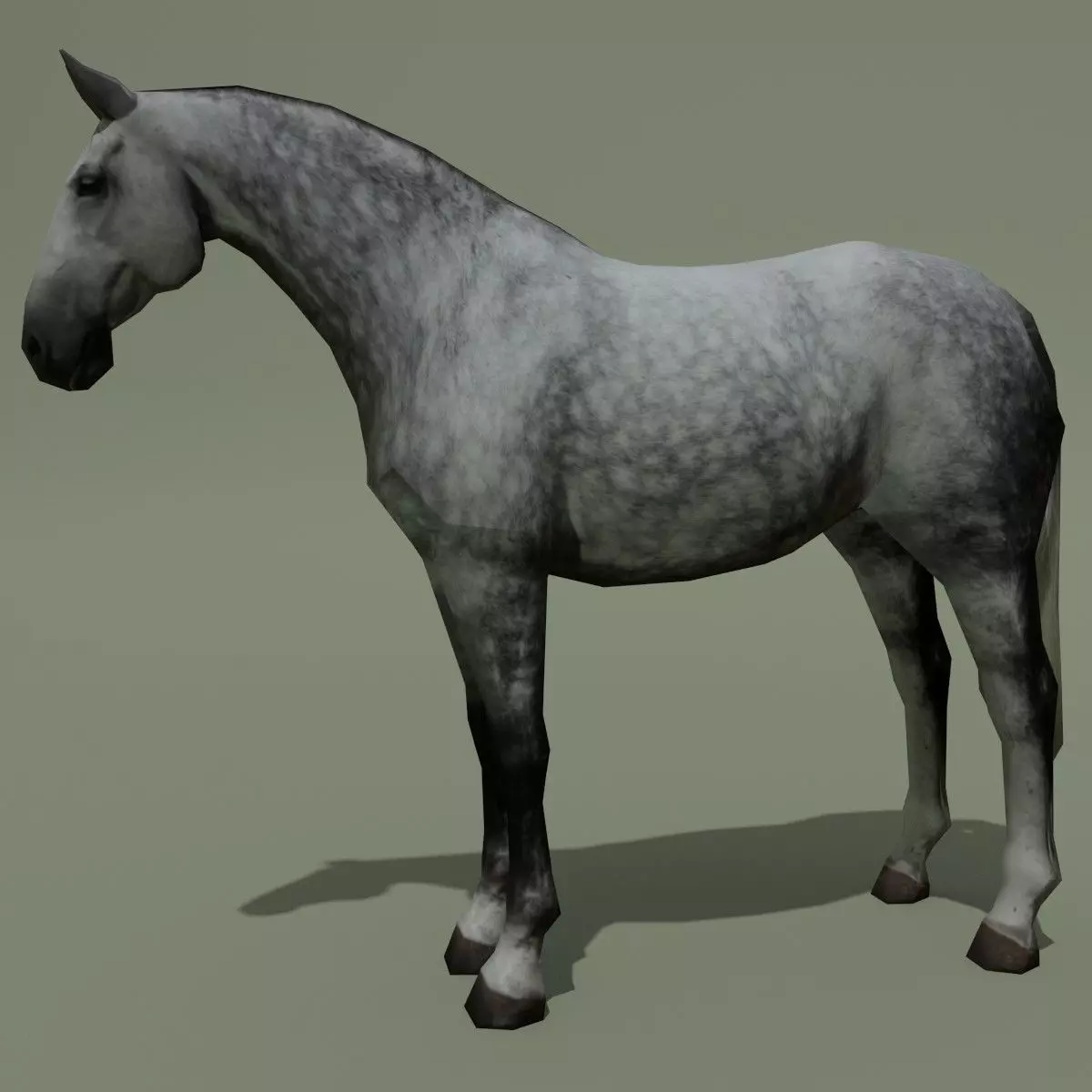 LowPoly Horse B Dapple grey Low-poly 3D model_0