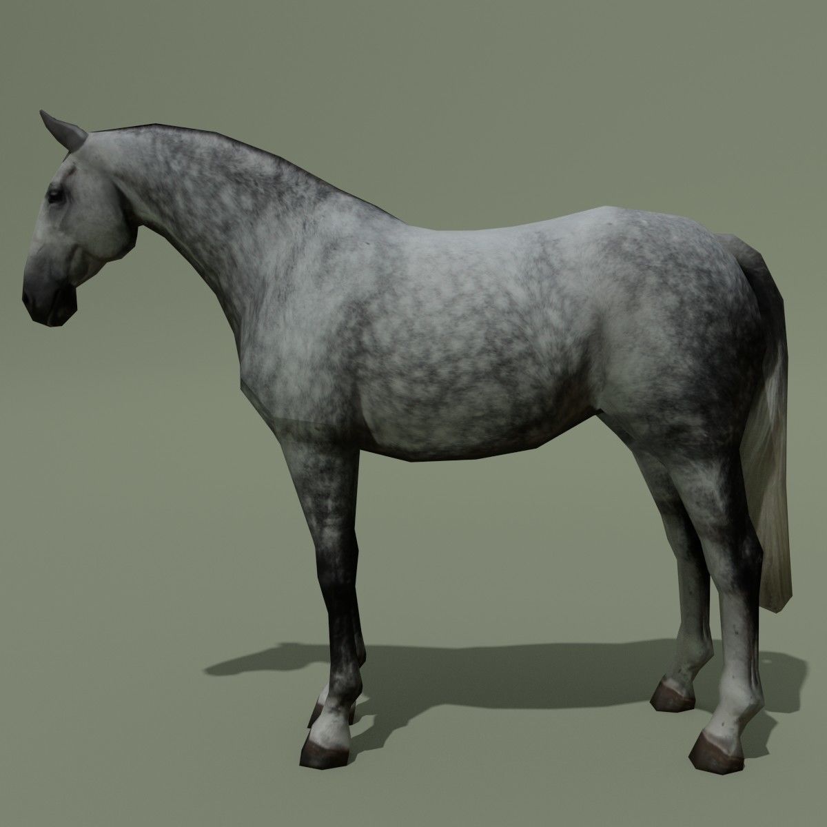 LowPoly Horse B Dapple grey Low-poly 3D model_1