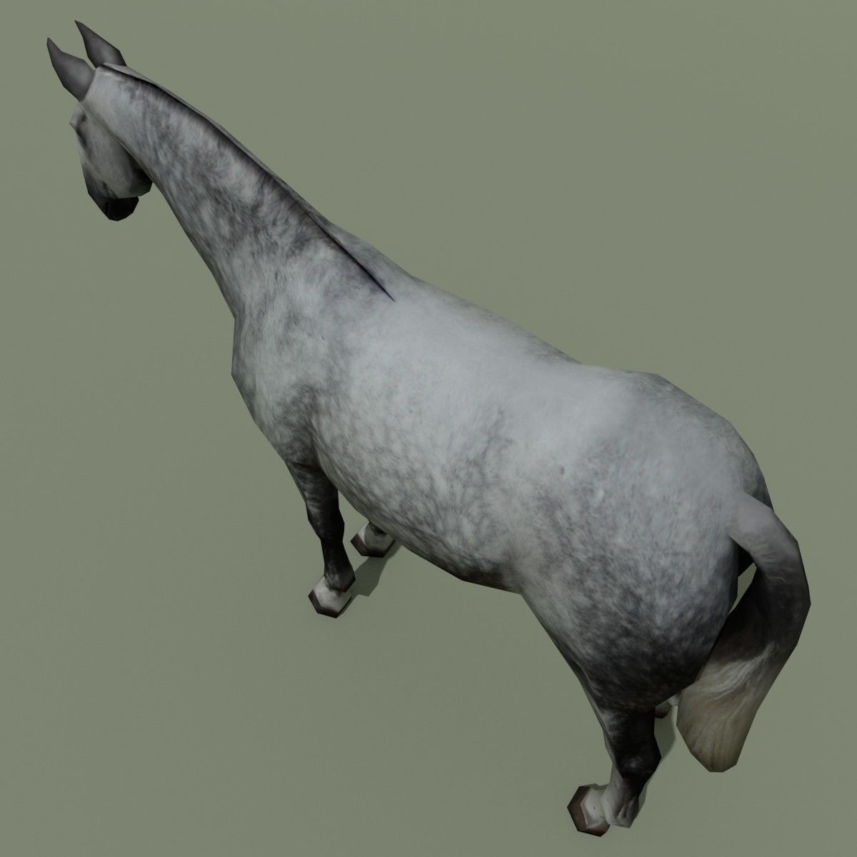 LowPoly Horse B Dapple grey Low-poly 3D model_5
