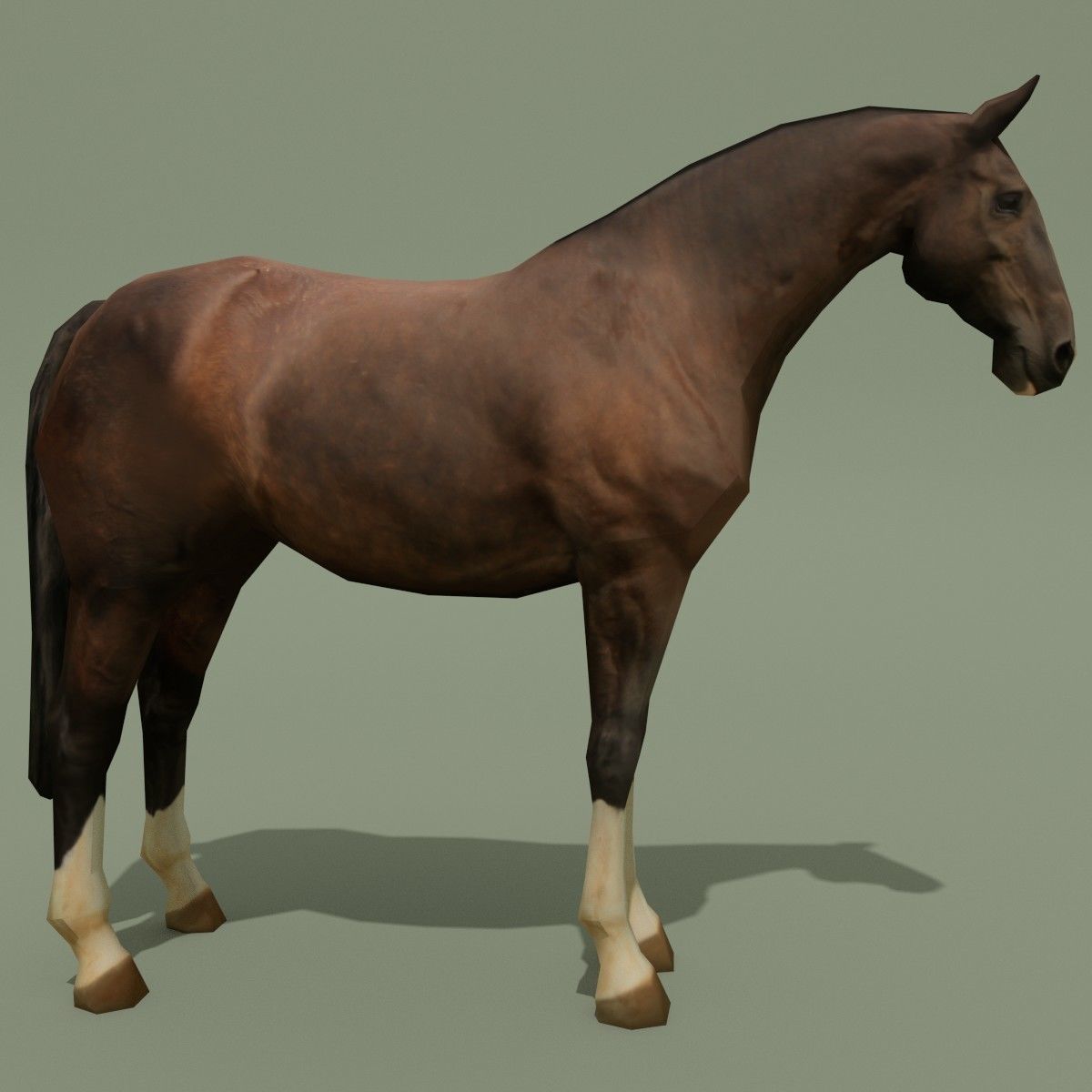 LowPoly Horse C Liver Chestnut Low-poly 3D model_2