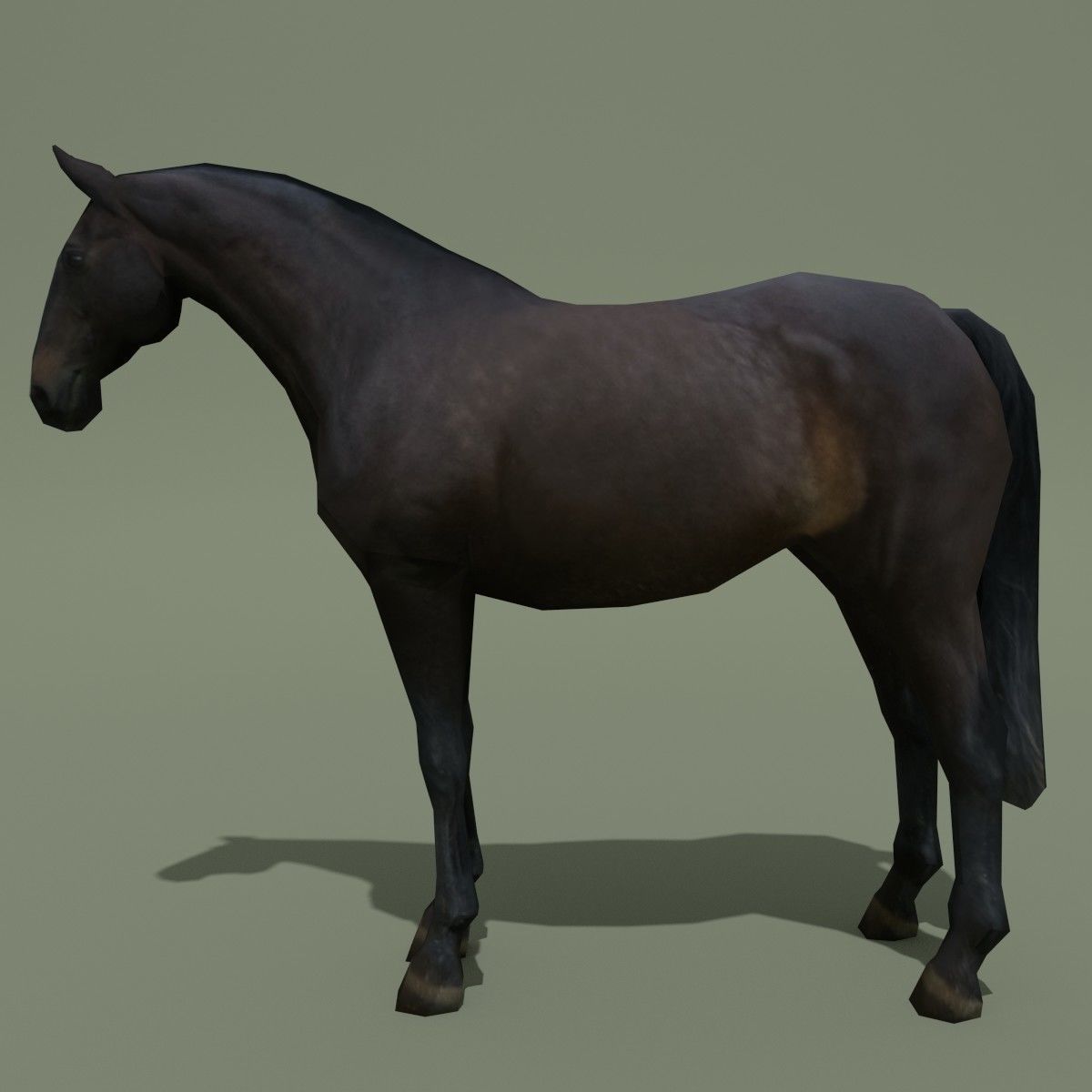 LowPoly Horse E Dark Bay Low-poly 3D model_1