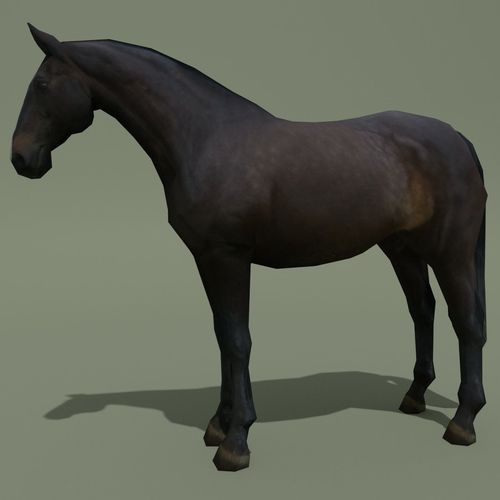 LowPoly Horse E Dark Bay Low-poly 3D model