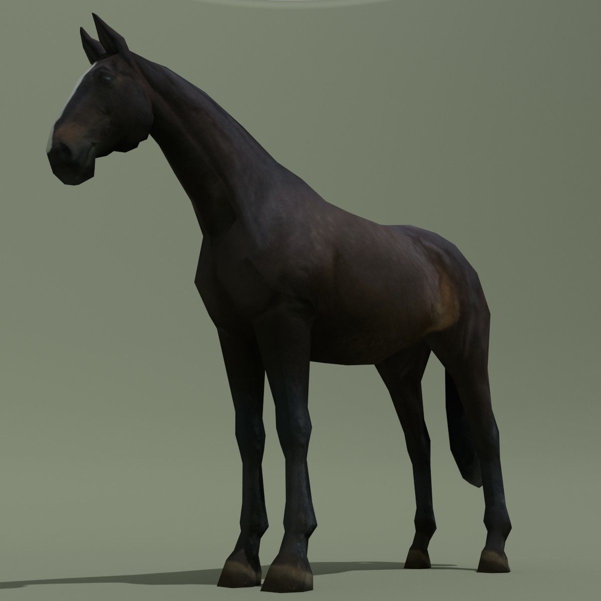 LowPoly Horse E Dark Bay Low-poly 3D model_3