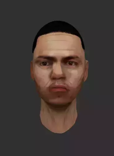 Henry 3D model