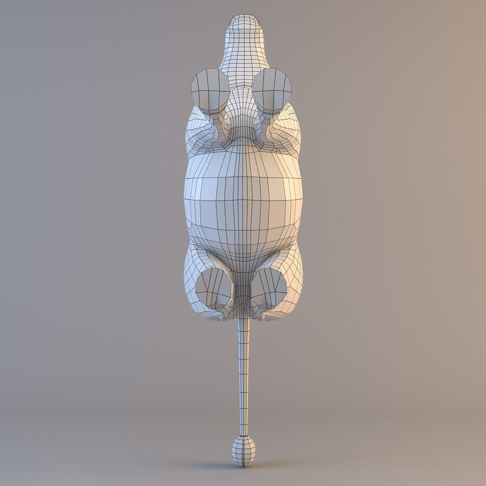 Cartoon Zebra 3D model_8