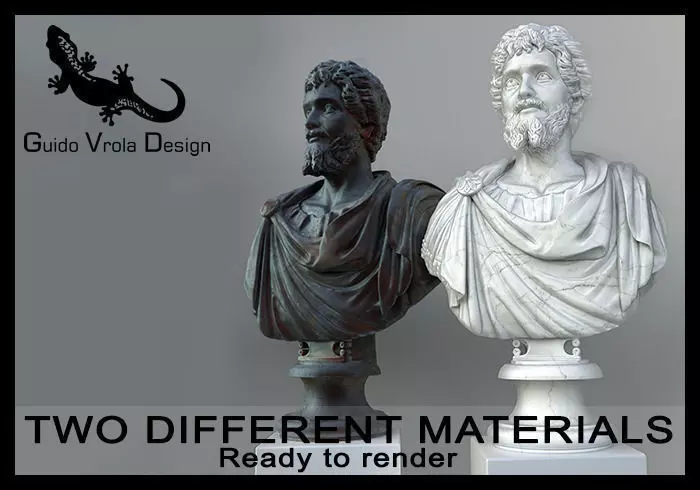 Bust of Septimius Severus Emperor 3D model_0