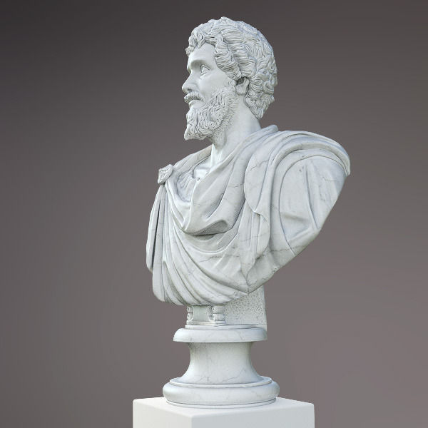 Bust of Septimius Severus Emperor 3D model_2