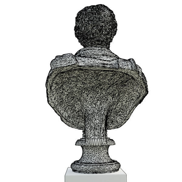 Bust of Septimius Severus Emperor 3D model_14
