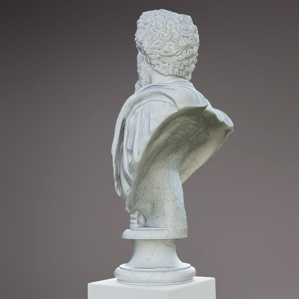 Bust of Septimius Severus Emperor 3D model_3
