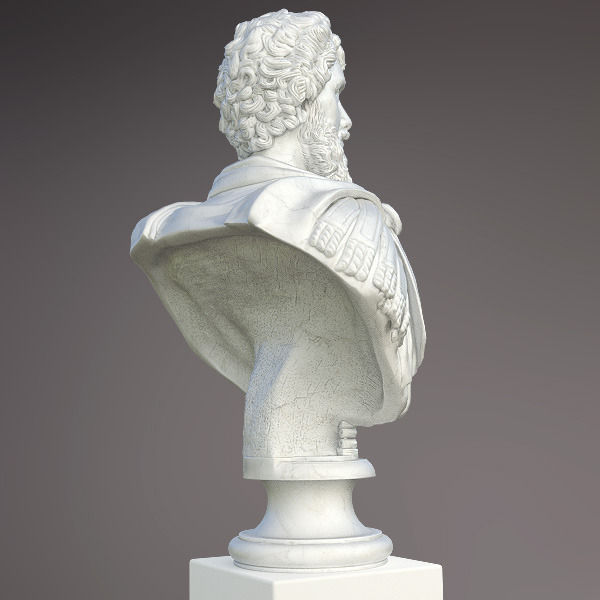 Bust of Septimius Severus Emperor 3D model_5