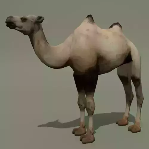 LowPoly Camel