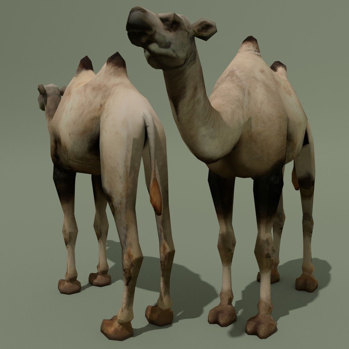LowPoly Camel 3D model_2