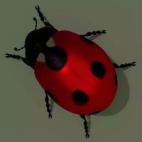 LowPoly Ladybug