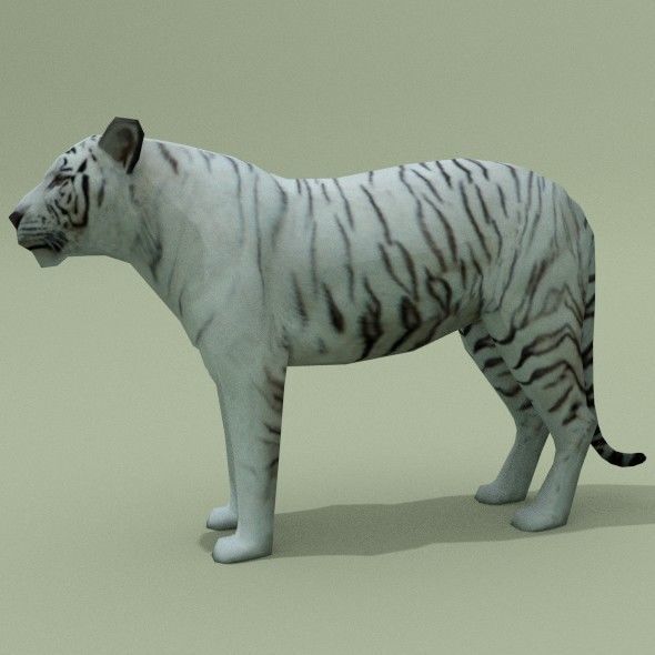 LowPoly Tigers two Free low-poly 3D model_5