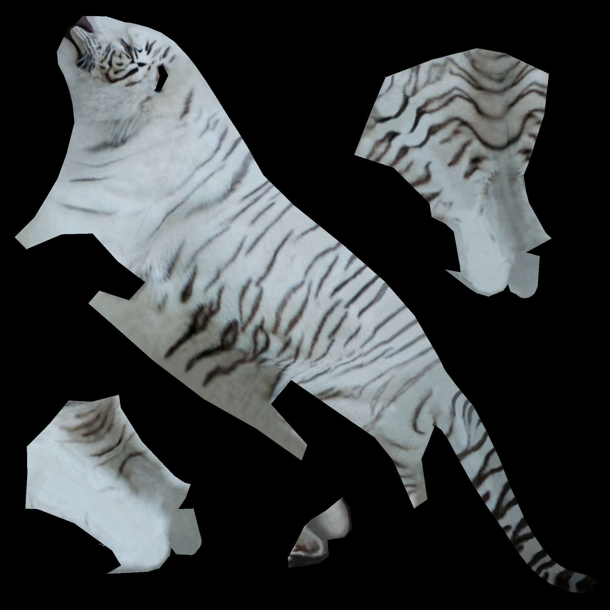 LowPoly Tigers two Free low-poly 3D model_7