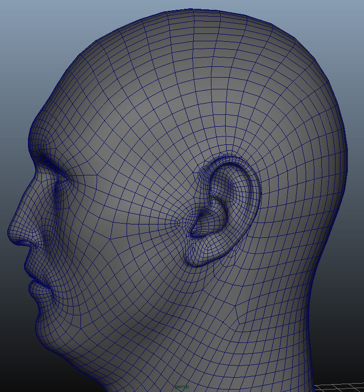 head Geometry MultiUV  3D model_5