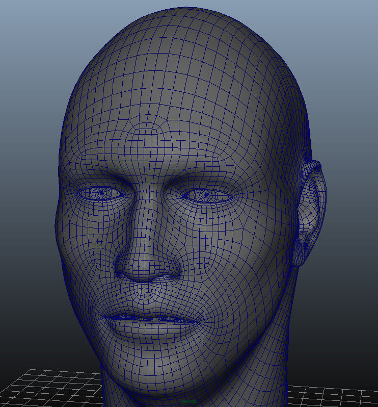 head Geometry MultiUV  3D model_4