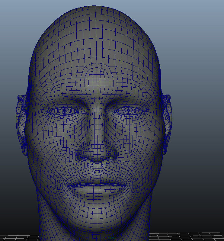 head Geometry MultiUV  3D model_2