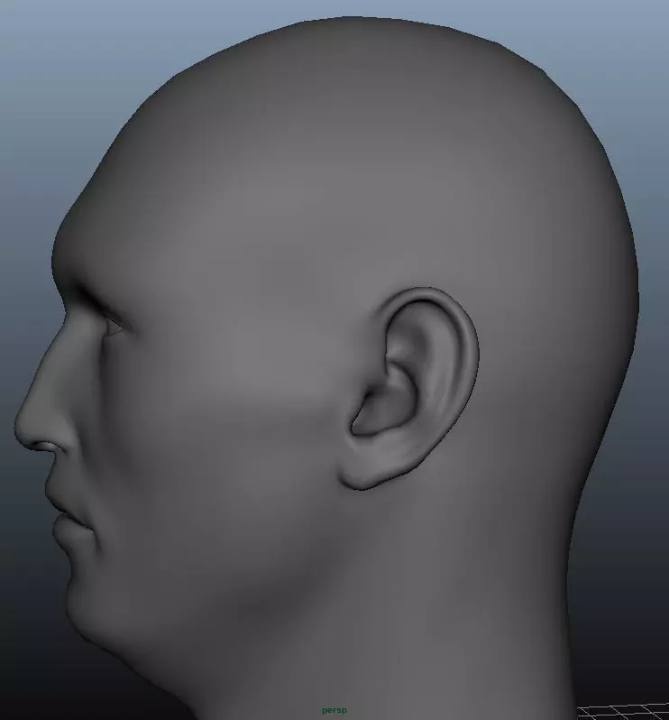head Geometry MultiUV  3D model_0