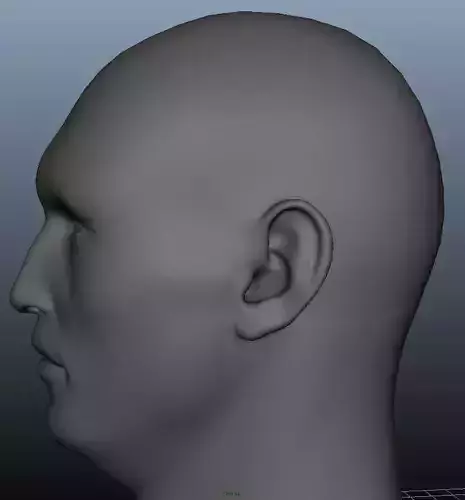 head Geometry MultiUV  3D model