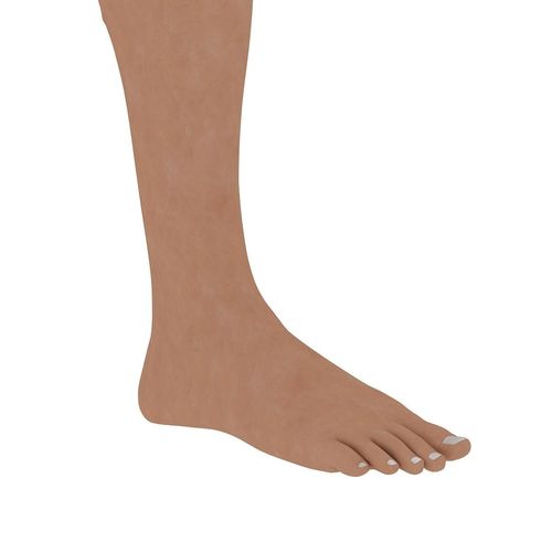 3D Feet 3D model
