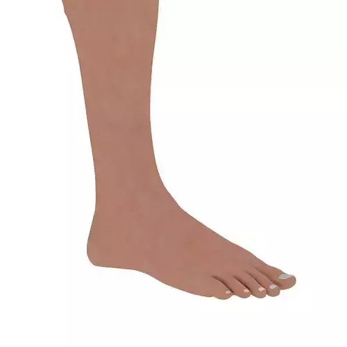 3D Feet 3D model