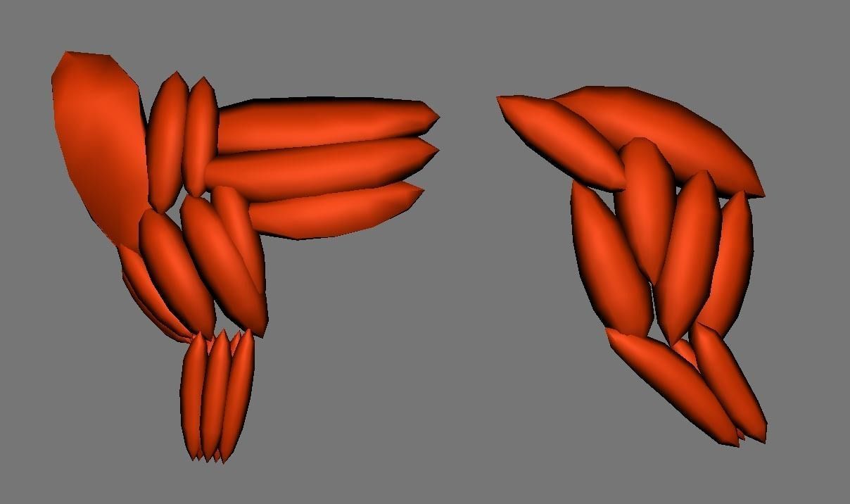 Leopard Rigged Maya muscle 3D model_6