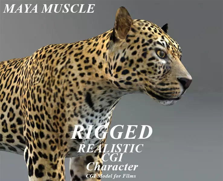 Leopard Rigged Maya muscle 3D model_0
