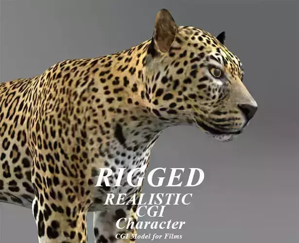 Leopard rigged 3D model