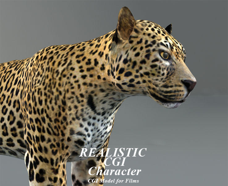 Leopard jaguar 3D model_3