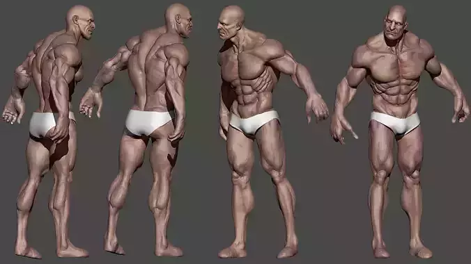 Human Male Character