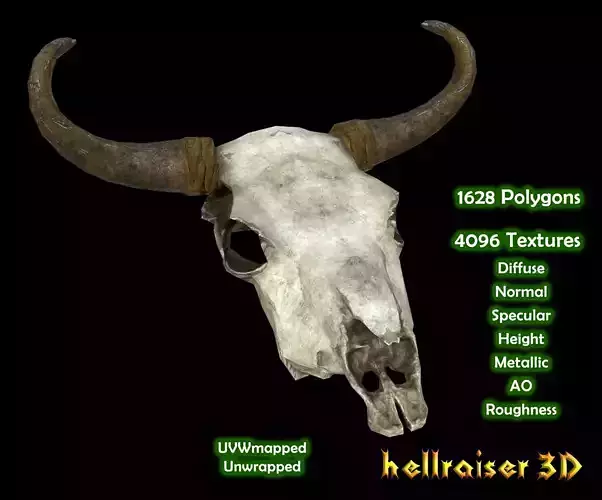 Cow Skull - PBR - Textured Low-poly 3D model