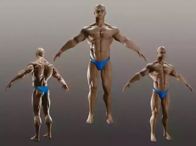 Male Bodybuilder A 3D model
