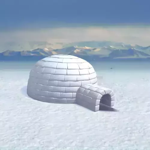 Igloo