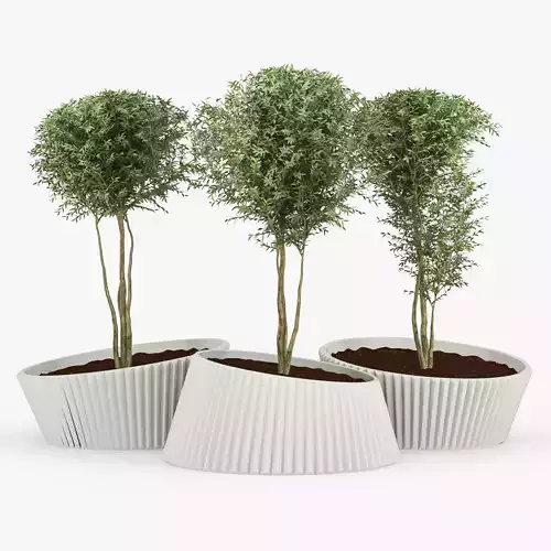 LENA tree 3D model