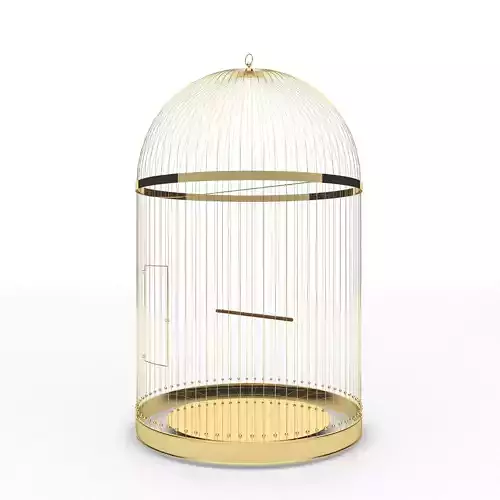 Golden bird cage