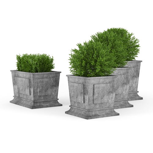 Boxwood four concrete planters with greenery 3D model