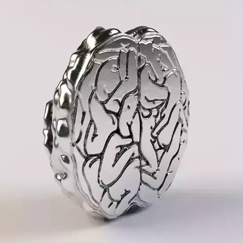 brain silver 3D print model