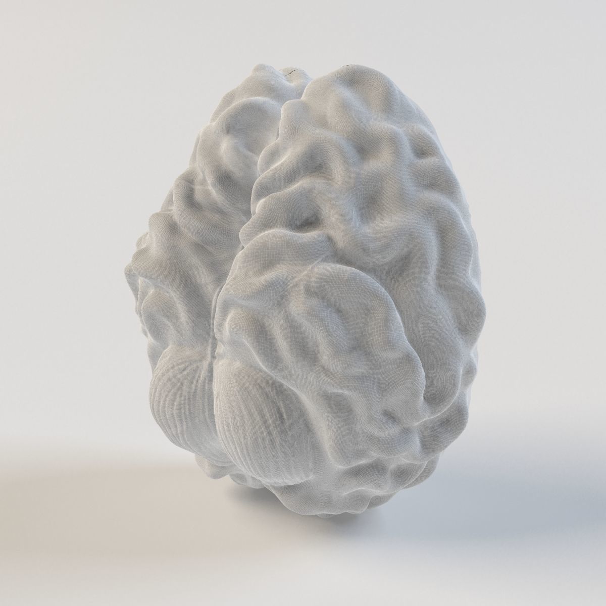 brain silver 3D print model_1