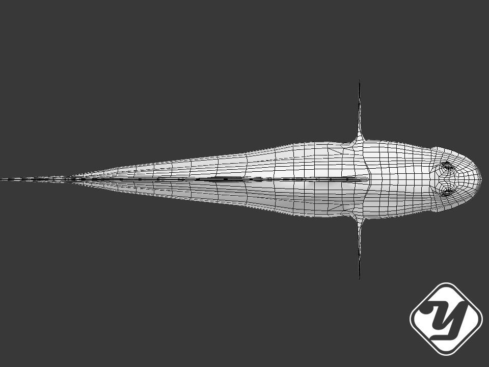 BBoleophthalmus Pectinirostris 3d Model Low-poly 3D model_5