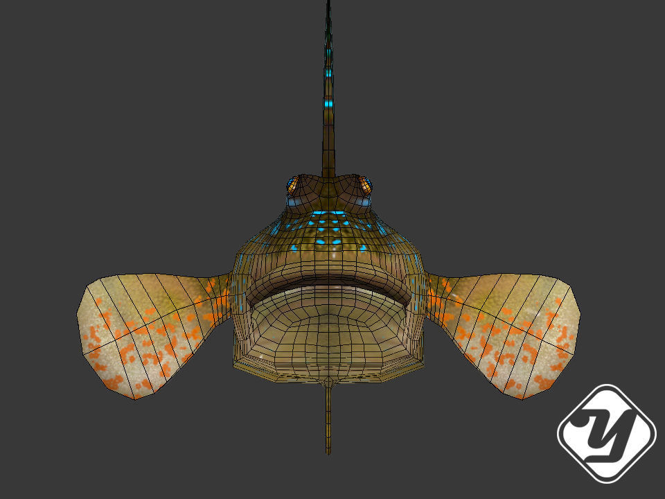 BBoleophthalmus Pectinirostris 3d Model Low-poly 3D model_3