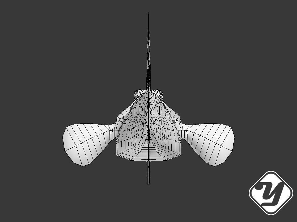 BBoleophthalmus Pectinirostris 3d Model Low-poly 3D model_4