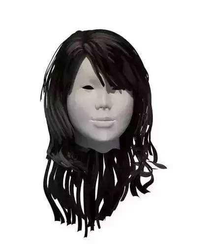 3D Black Polygon Hair  