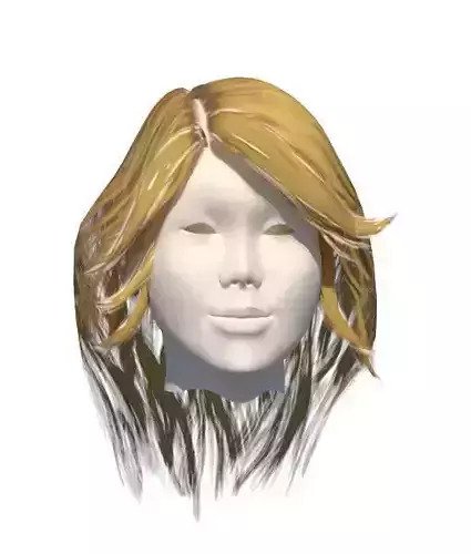3D Blind Hair Style