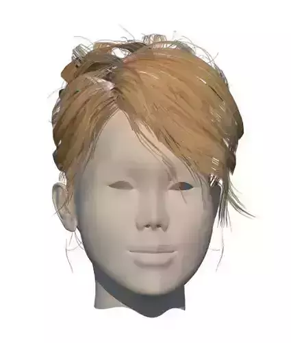  3D brown polygon hair