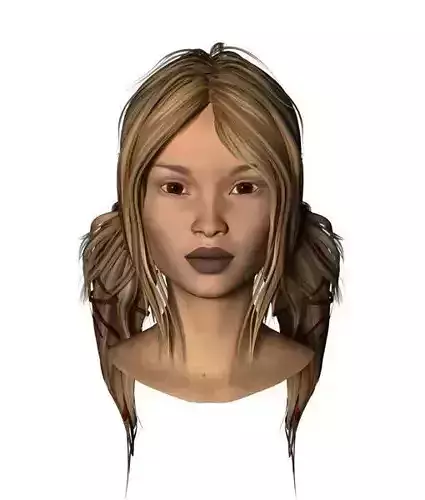 3D Two Pony Tail Hair