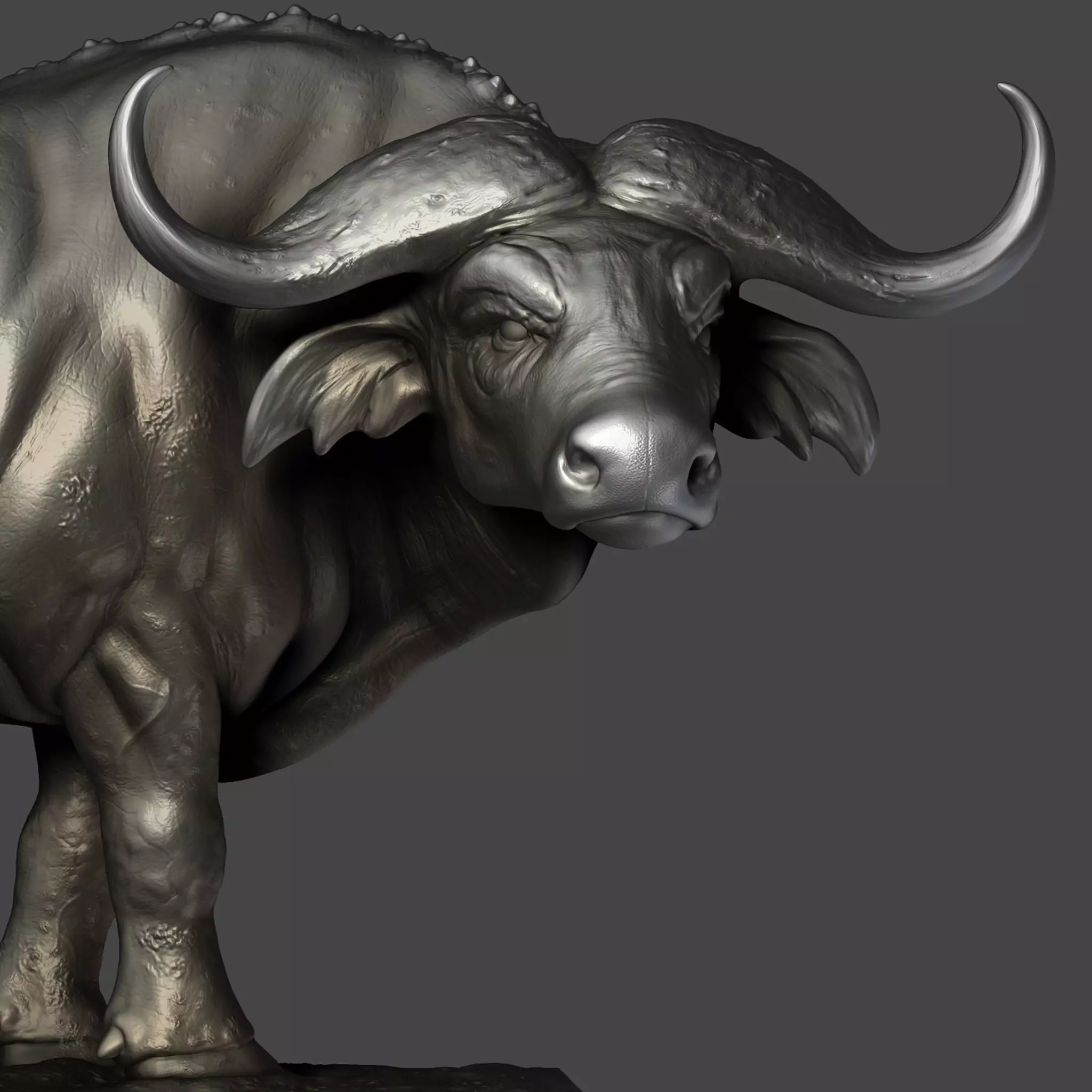 Buffalo For Printing sculpture 3D print model_0