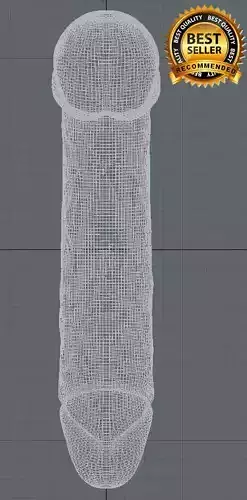  Reproductive male organ