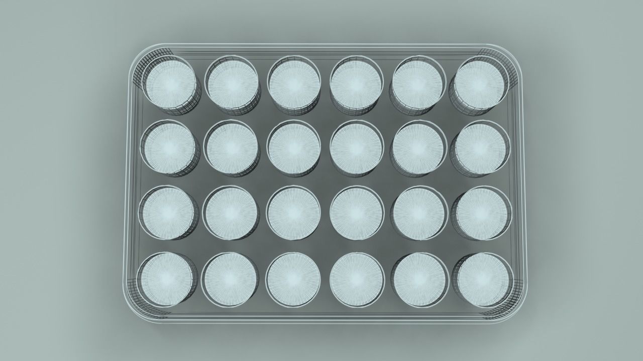 24 Wells Plate 3D model_2